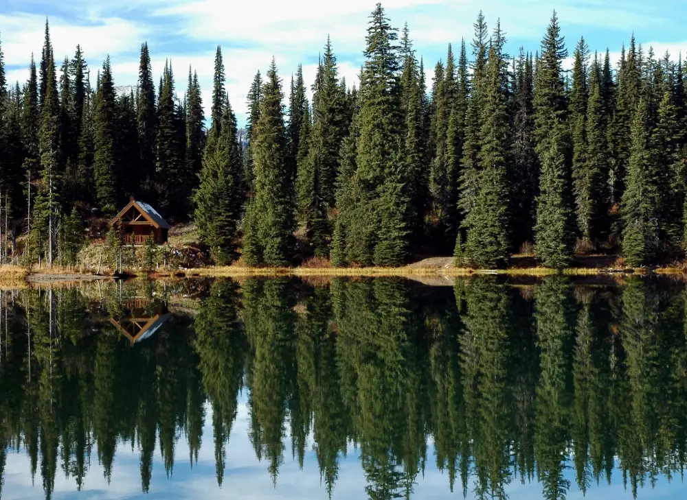 house and trees at lake